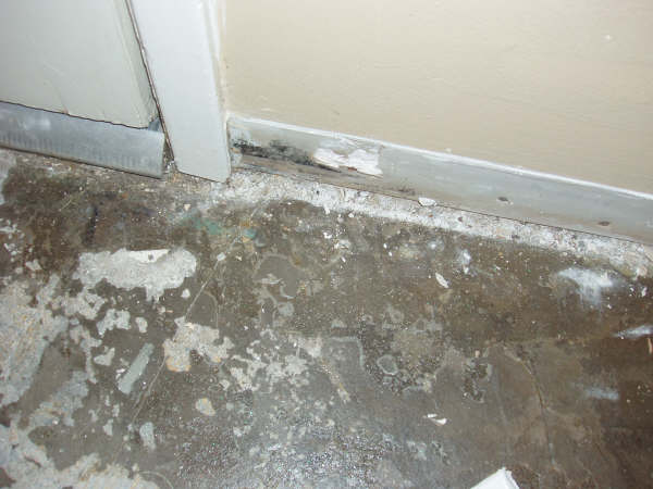 Mold on baseboard after water damage